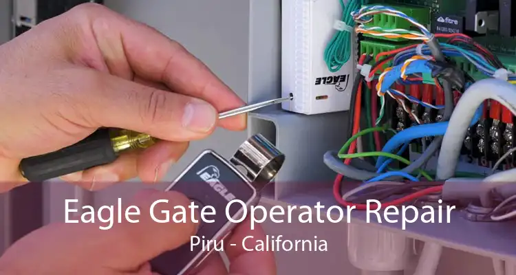 Eagle Gate Operator Repair Piru - California