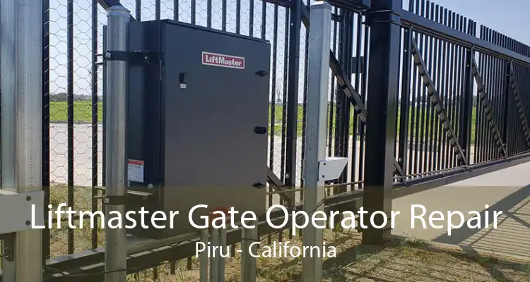 Liftmaster Gate Operator Repair Piru - California